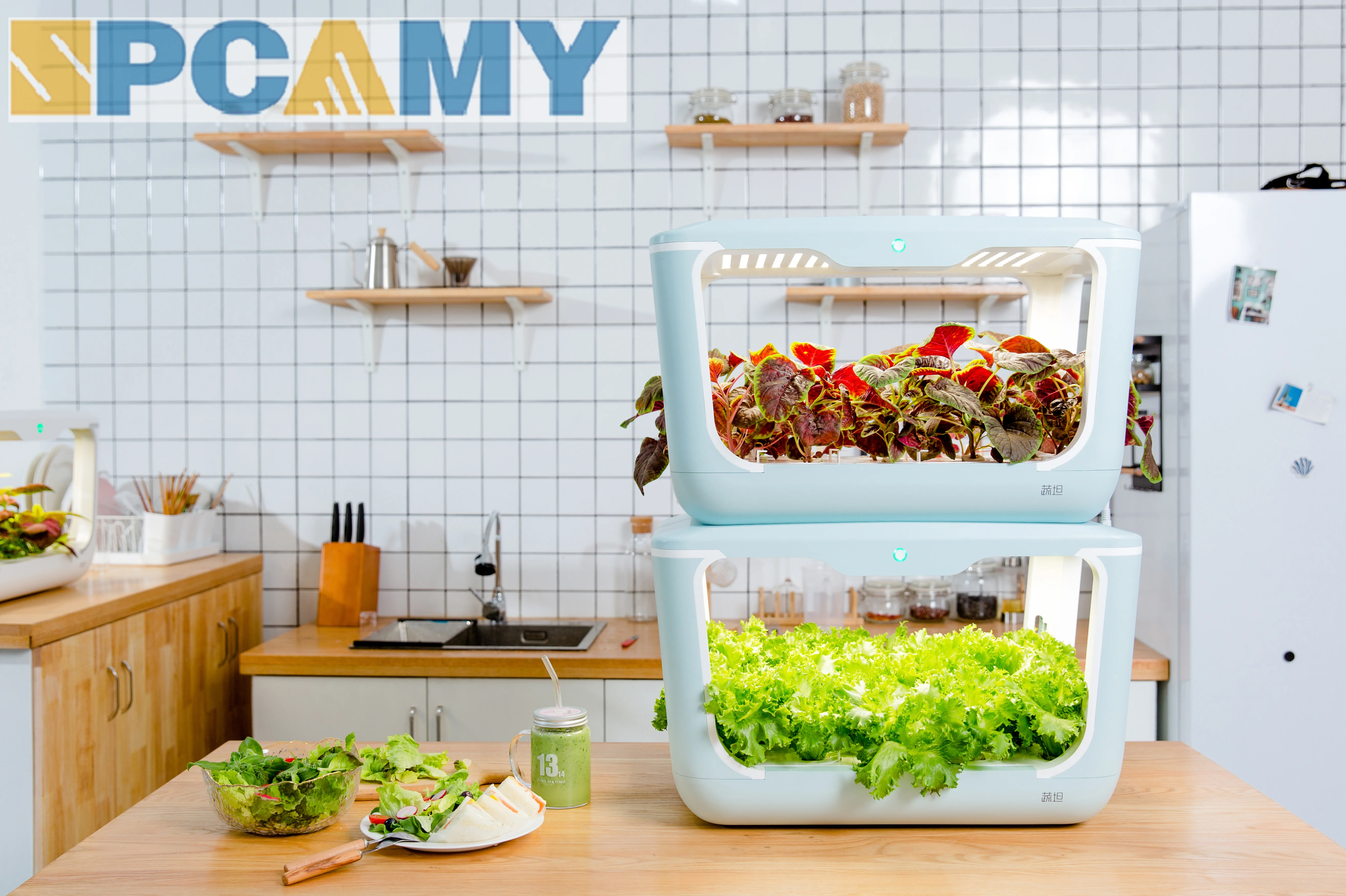 2024 Intelligent Technology Control Nutrient Solutions 5W Effortless Indoor Vegetable Seeds Planting Machine