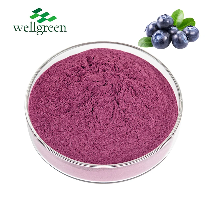 Wellgreen Food Grade Blueberry Fruit Juice 100% Pure Water Souble Organic Blueberry Powder