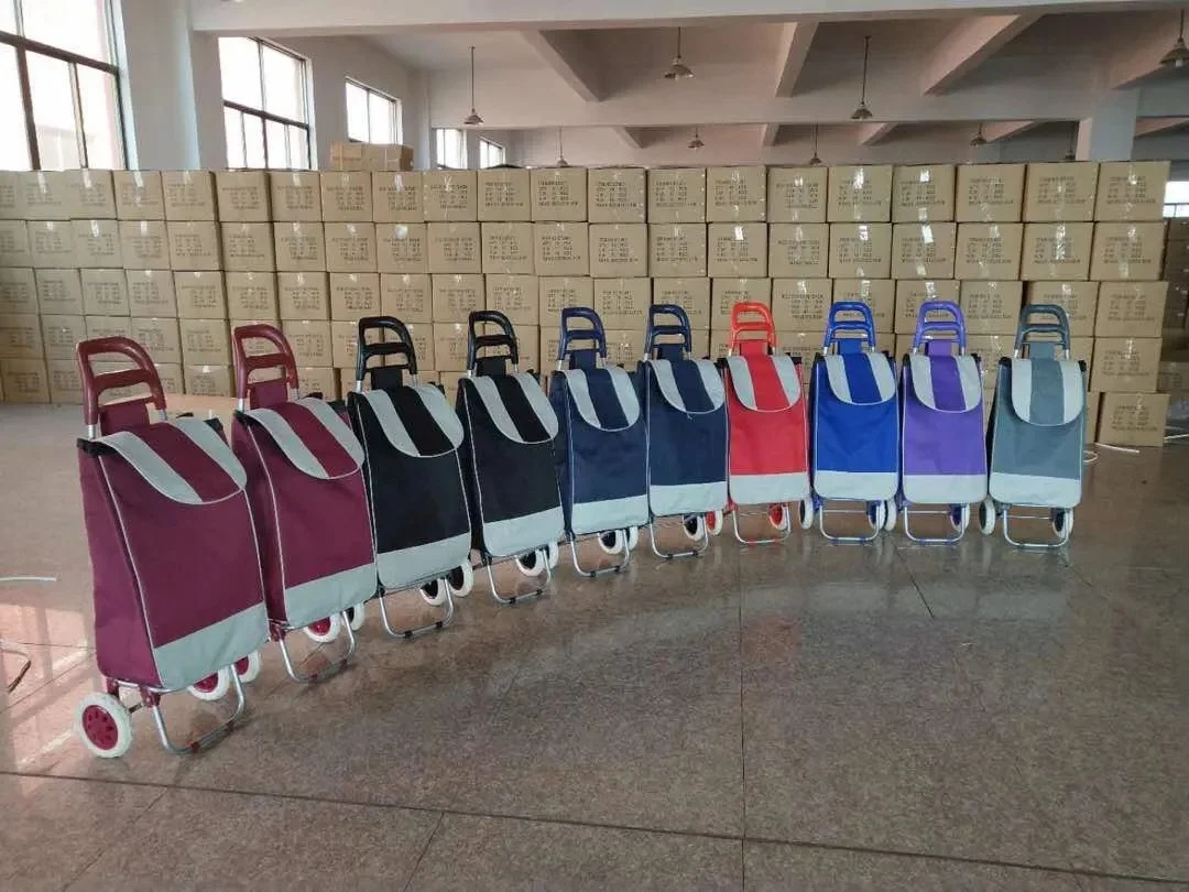 WETRUST CUSTOM LOGO Folding Shopping Cart Portable Shopping Folding Trolley Bag with 2 WHEELS