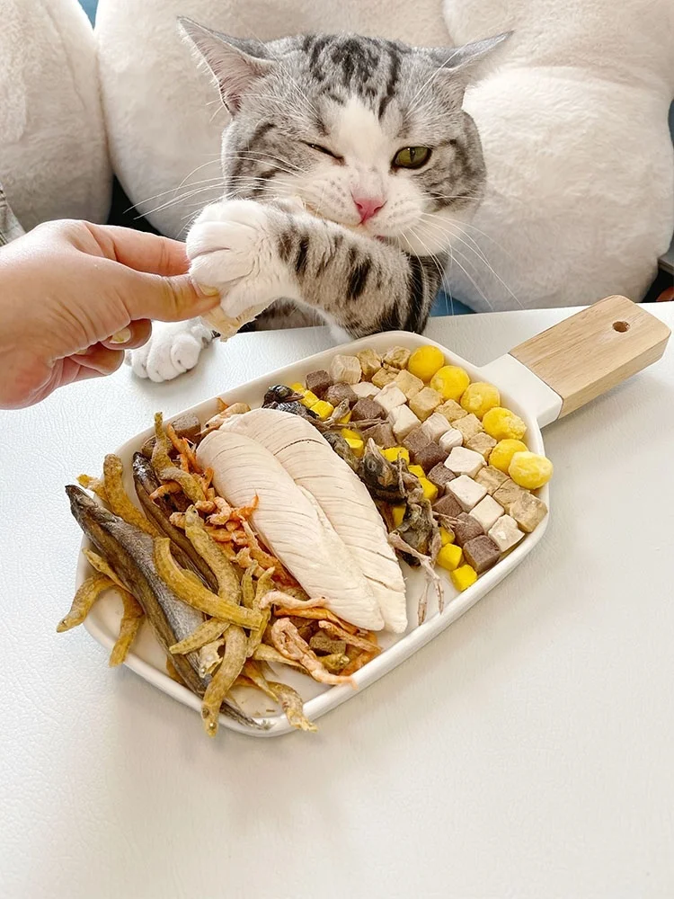 freeze dried herring fish pet treats for dogs and cats pet food OEM shandong pet food factory