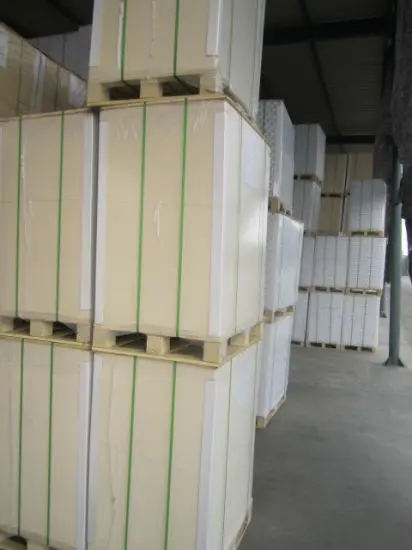 
Certificated 230gsm 250gsm 300gsm 350gsm 400gsm C1S Folding Box Board For Packing 