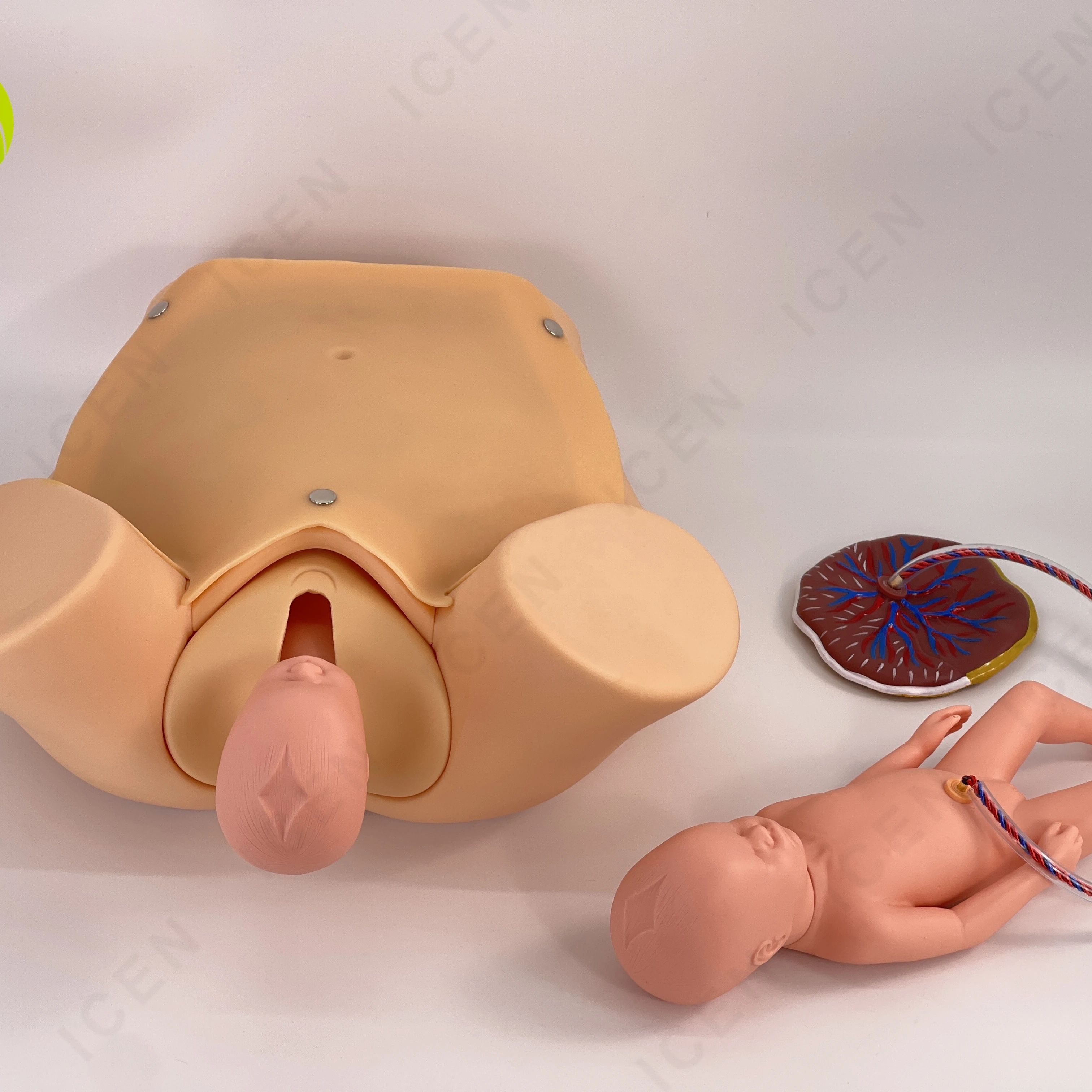 IN-M10 Delivery Model Maternal And Infant First Aid Training Model Of Emergency Nursing For Pregnant