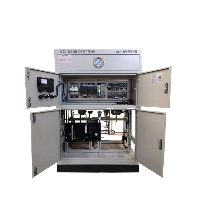 Hot sales Custom-engineered Desiccant Hydrogen Gas Dryer for Water Eletrolysis Generator