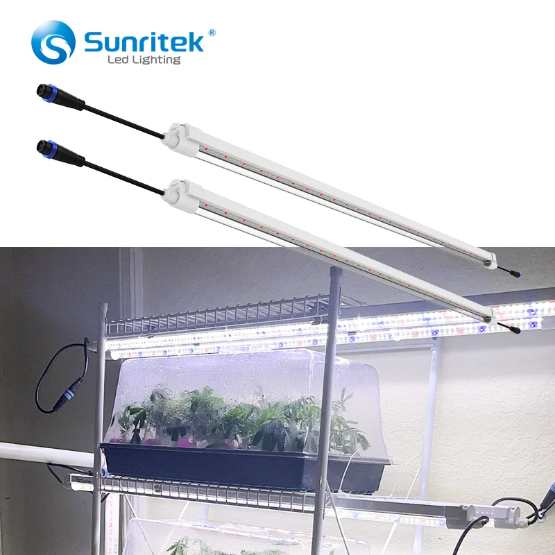 ETL/DLC certification hydroponic Samsung Im301b Lamps LED Grow Light for Greenhouse