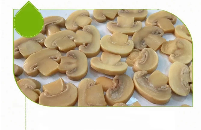 Canned Mushroom Pns/High Quality Canned Mushroom
