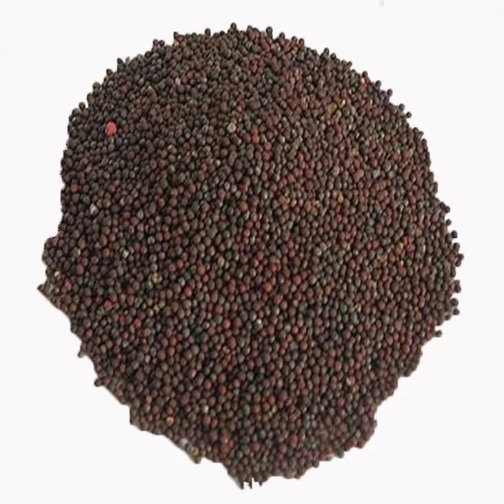 
Factory supply chinese vegetable seeds Tomato Seeds for planting 