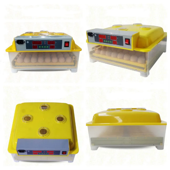 hatch solar laboratory shaker incubator chicken eggs fully automatic co2 incubator motor 50 eggs incubator lahore pakistan puppy