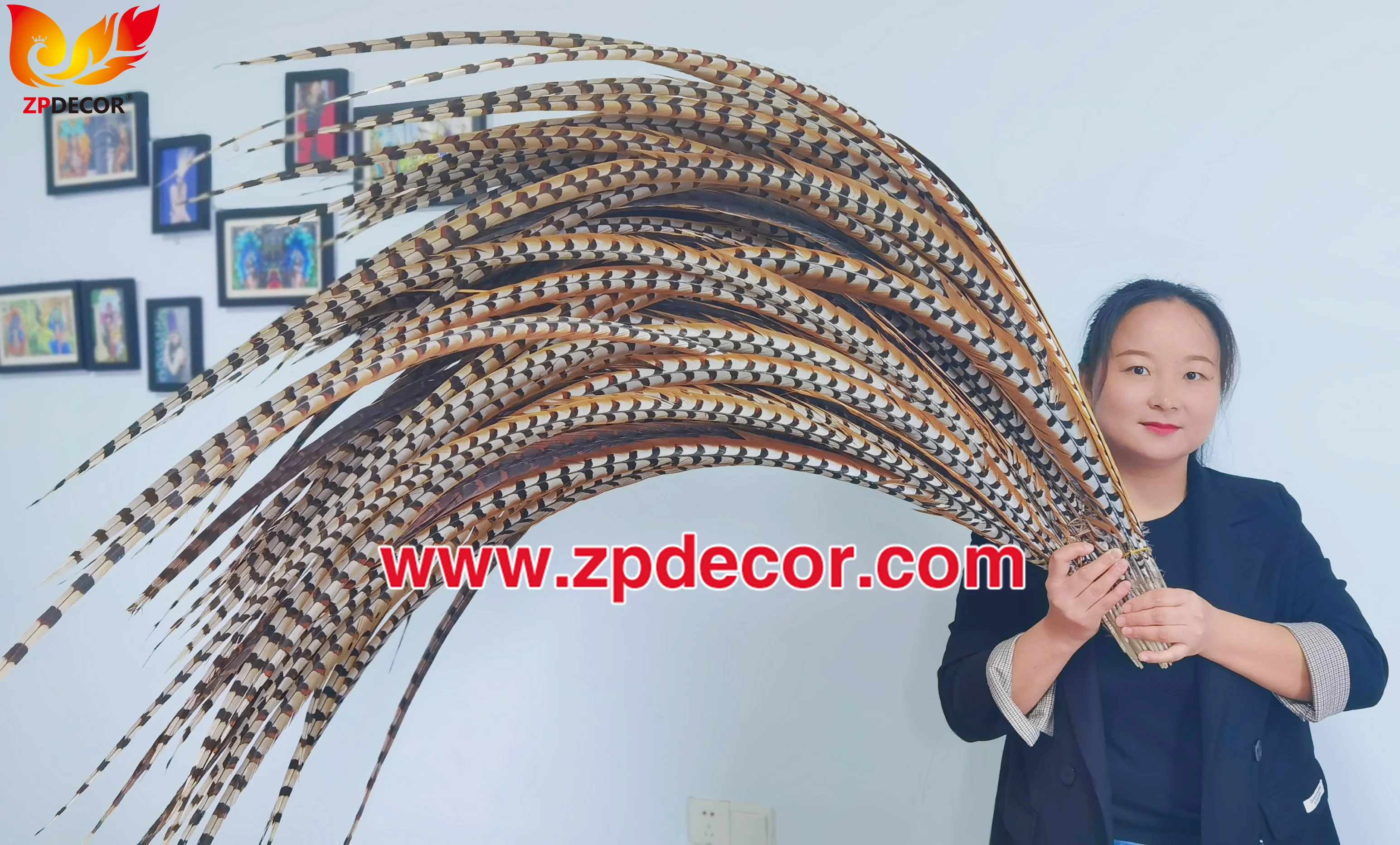 Factory Wholesale from ZPDECOR  150-160 cm Super Long  Natural Reeve Pheasant Tail Feathers for Carnival Costumes