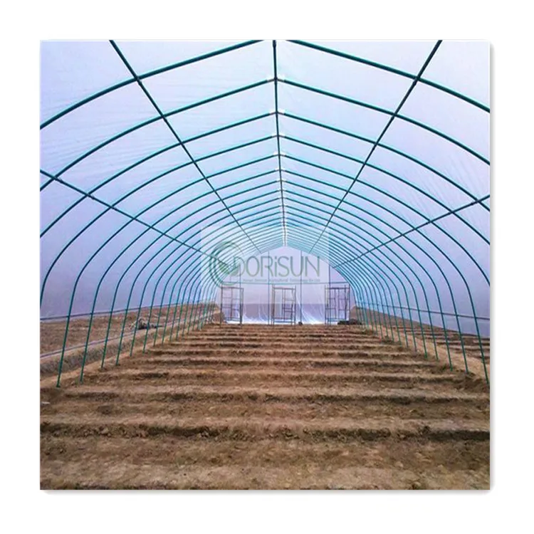 Co2 Controller Erogator Hydroponics System Indoor Drop Irrigation System Greenhouse for Meaty Plant