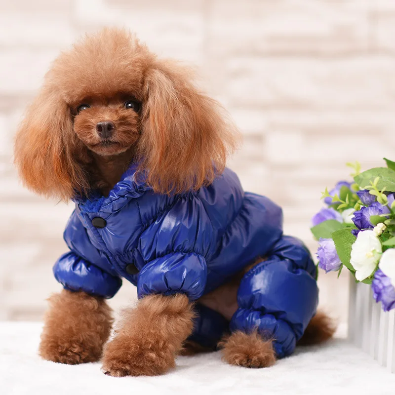 High-end luxury brand Fashionable dog jacket waterproof zipper dog clothes coat