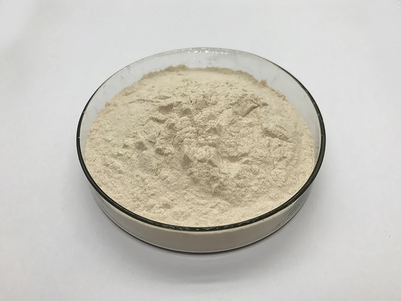 
Food Grade High Quality Hemicellulase Enzyme 