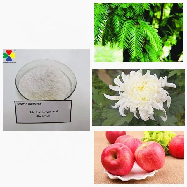 China supply promote root growth auxin iba indole 3 butyric acid 98%tc for sale