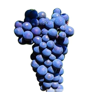 
Bulk wine for supermarket/hotel/online store merlot Dry Red Wine Bottle  (60819321190)