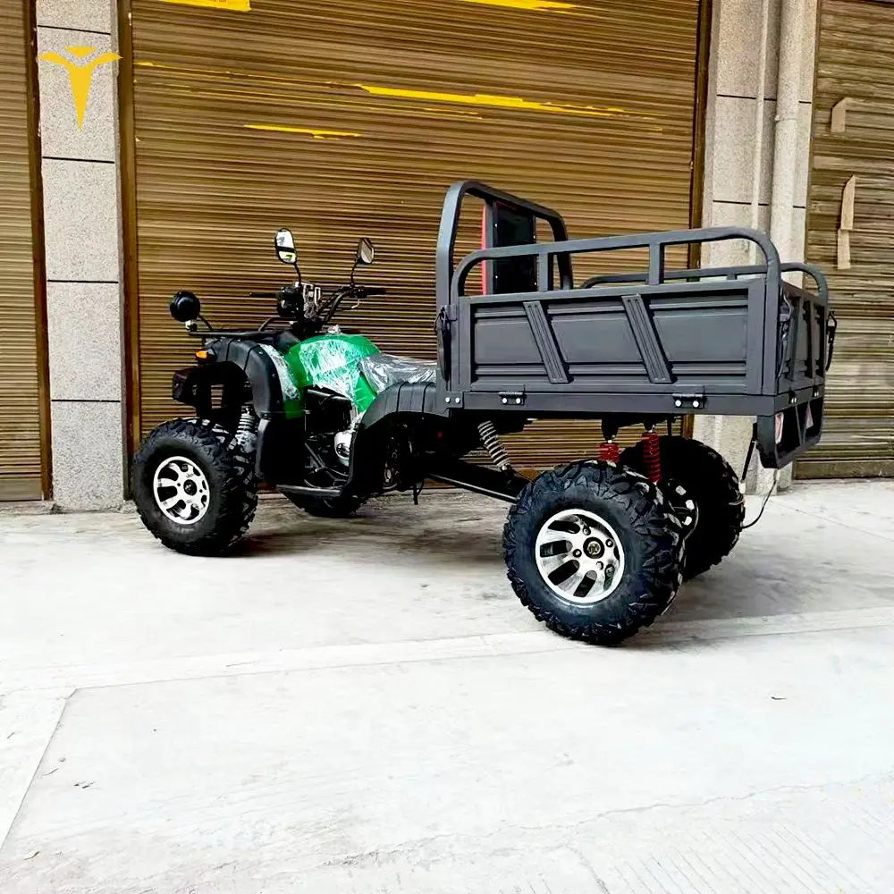 Внедорожных допущенный к Atv Quad велосипед способный преодолевать Броды для взрослых 300cc