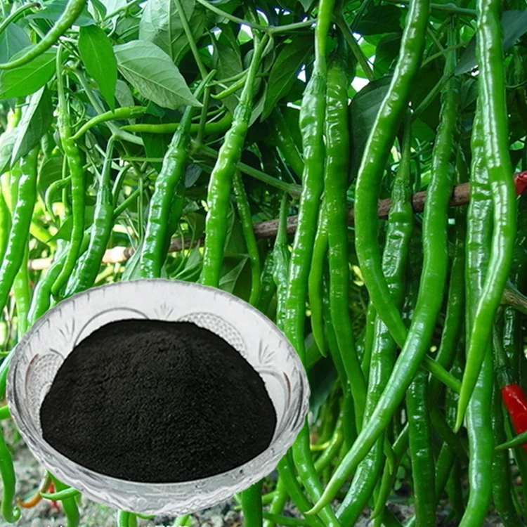 China Ningxia Humate fully water-soluble organic potassium humate powder fertilizer with 80% humic acid