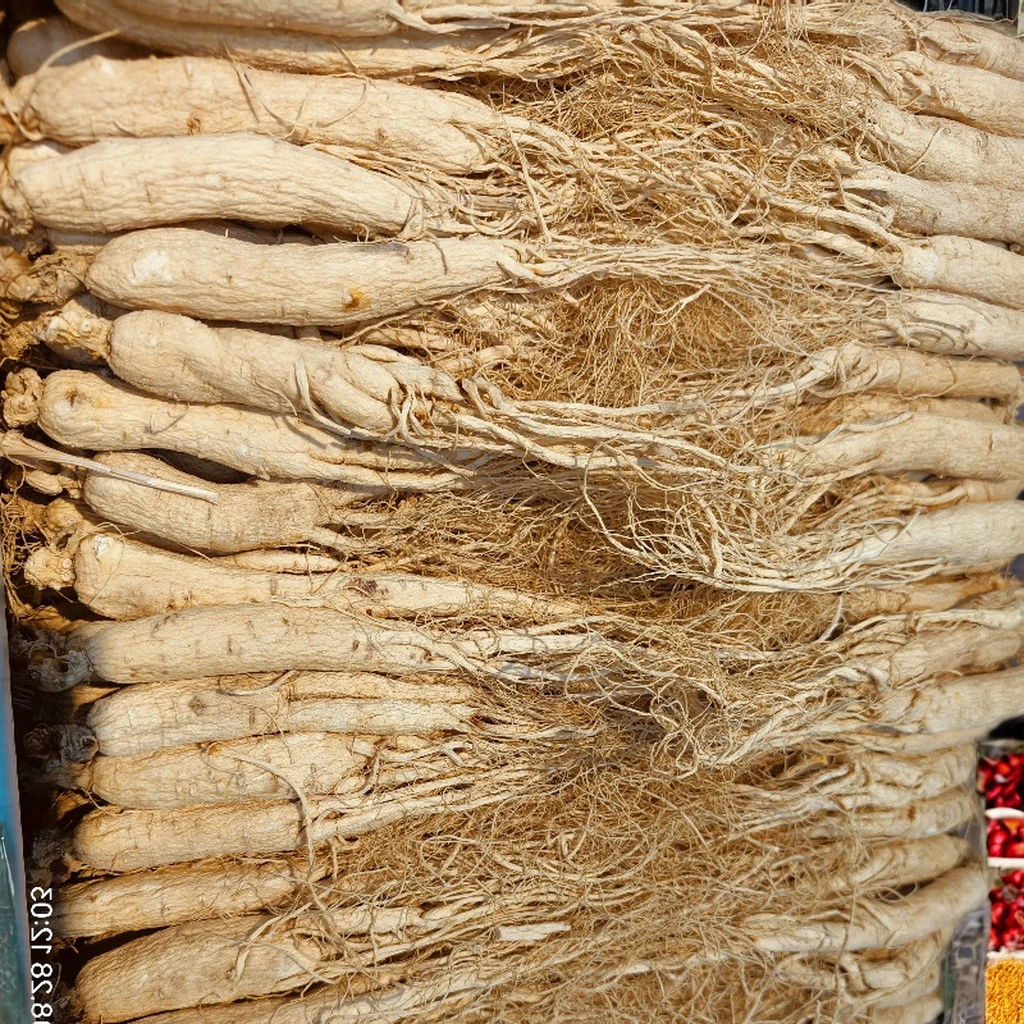 High Quality 6-Year Dried Panax Ginseng Root Premium Single Spices & Herbs Raw Processing Air-Dried