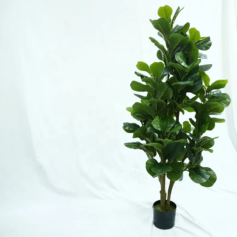 Gourd Leaves Plants Selling Bonsai Online Natural, Artificial Plant With Pots