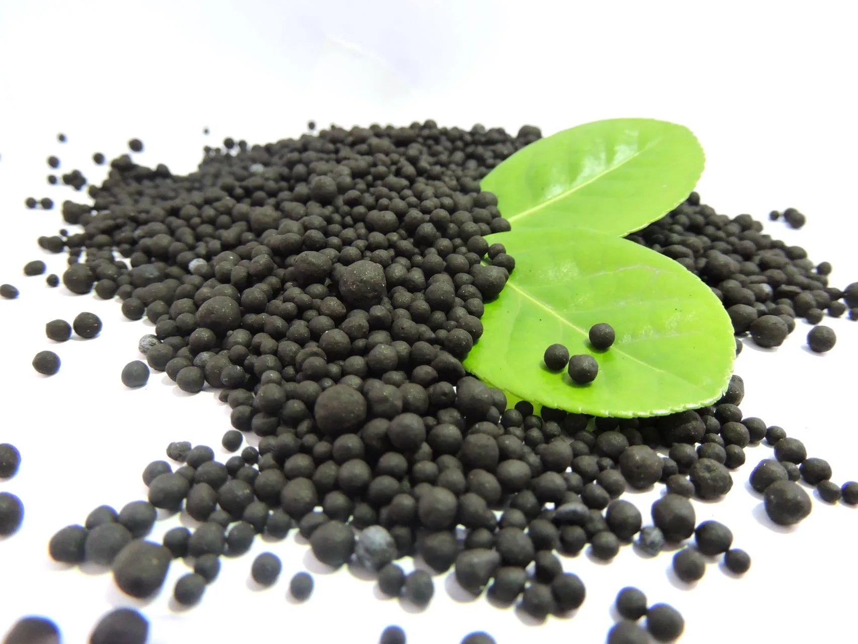 Best Organic Fertilizer Magical Fertilizer Rooting Agent