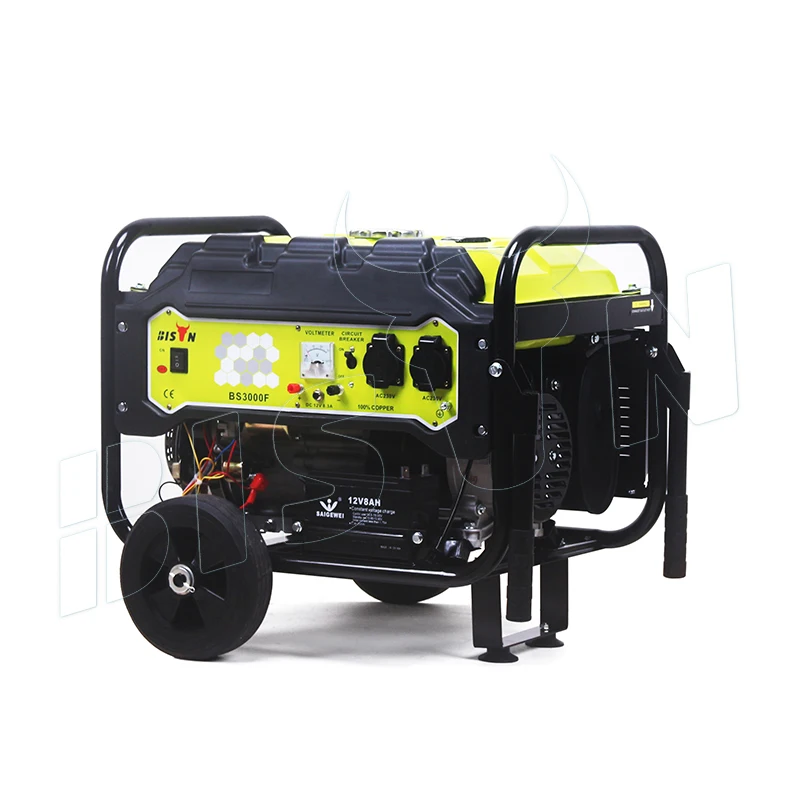 Bison Chinese Made 230V 60Hz Gasoline Generator 7 Kw 110 220 Volts Gasoline Electricity Generator