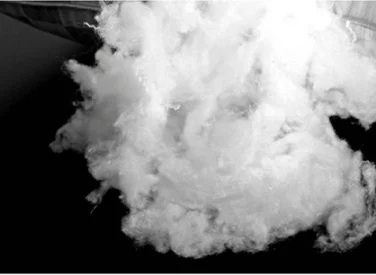 Modern pop pregnant woman pillow custom throw polyester pillow inner Hot Sale Luxury White Goose Down Standard Feather Pillow