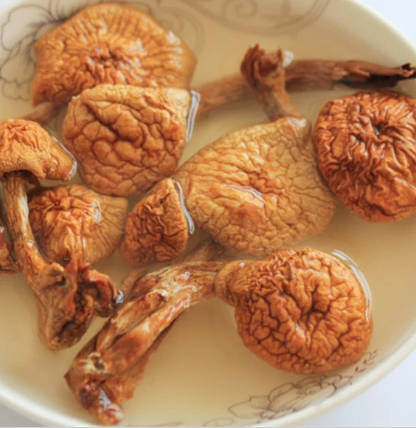 Huazigu Wholesale Cultivation Pholiota Nameko Dried Pholiota Microspora Mushroom