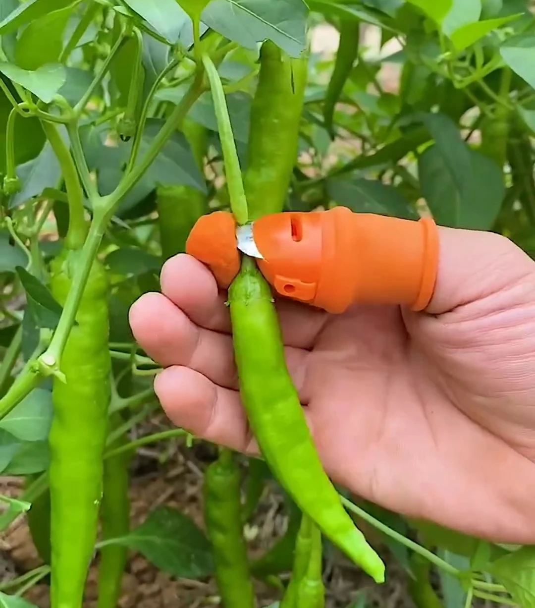 Harvesting Tool Gardening Fruit Vegetable Picking Thumb Knife Cutter Silicon Gloves Protection Finger
