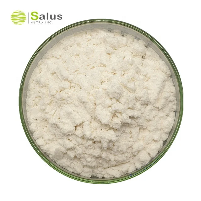 Top Quality Invertase Enzyme