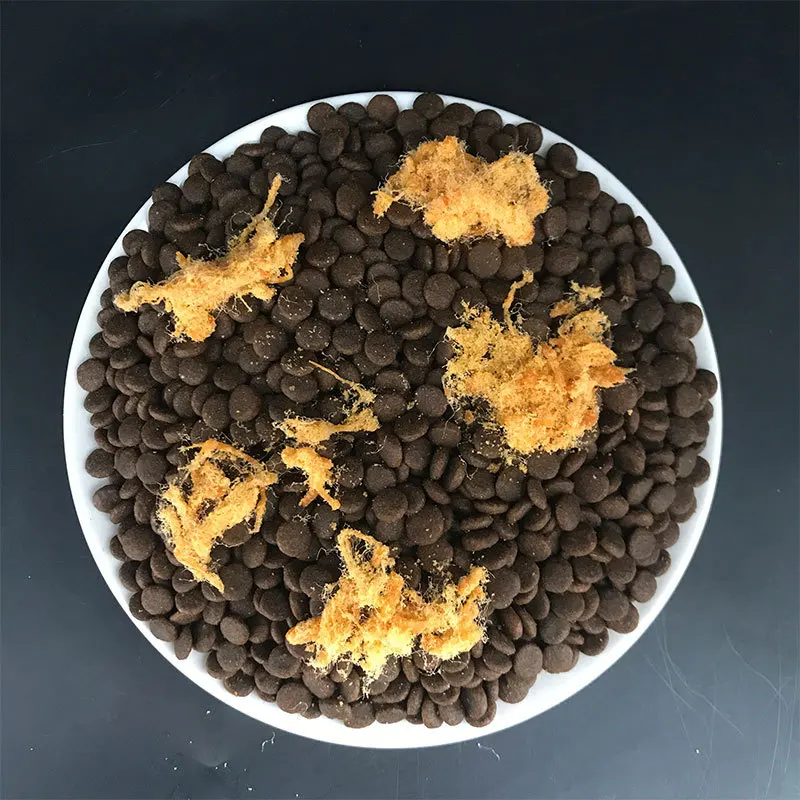 Oem Cat Food Factory High Nutrition Star Shape Multiple Flavors Bulk Dry Cat Food Can Mix Freeze-dried Chicken