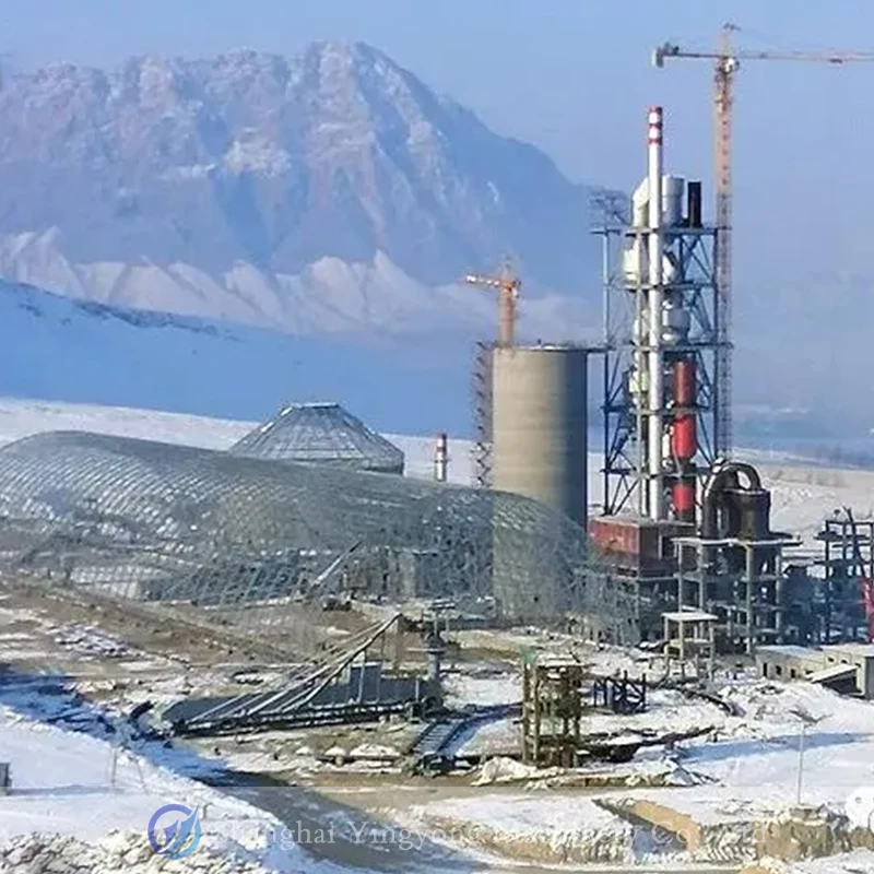 50TPD to 500TPD Used Cement Lime Rotary Kiln with Gearbox and Engine Price for Construction Cement Plant