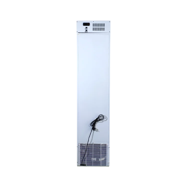 Meisda SD105B Portable Electric Refrigerator Single Glass Door Upright Freezer with Wheels for Ice Cream Store Promotion