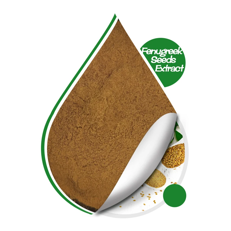 China Factory Fenugreek Seeds Extract 10:1 20:1 Natural Fenugreek Seeds Extract Powder For Supplements
