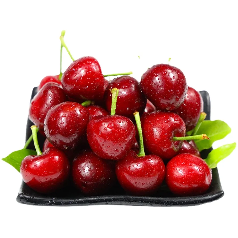 Sweet And Juicy Fresh Cherries Fruits Fresh Dark Red Cherries For Sale
