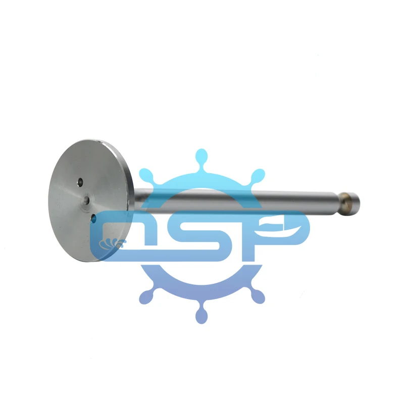 Manufacturer Russia Designed  6ch21/21 Diesel Engine Parts Valve INT  EXH Valve  0210.05.060   0210.05.070