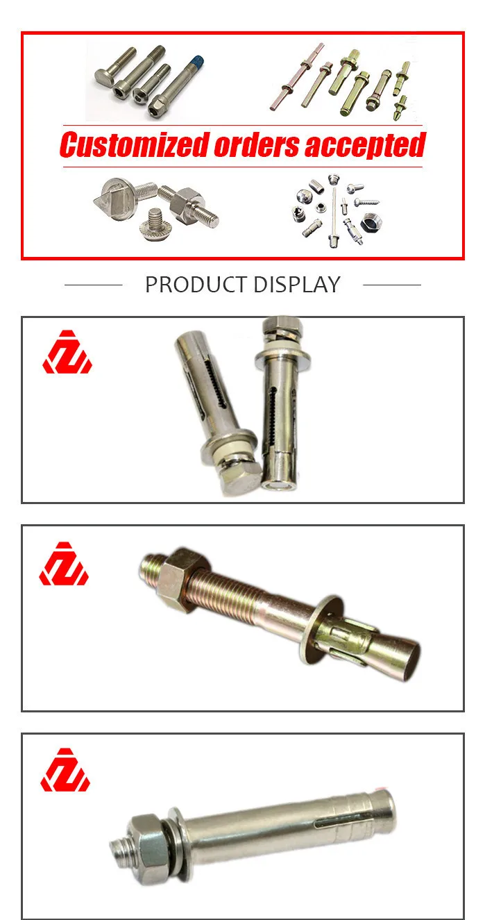 Custom Fastener Stainless Steel Anchor Bolt with Washer and Nuts