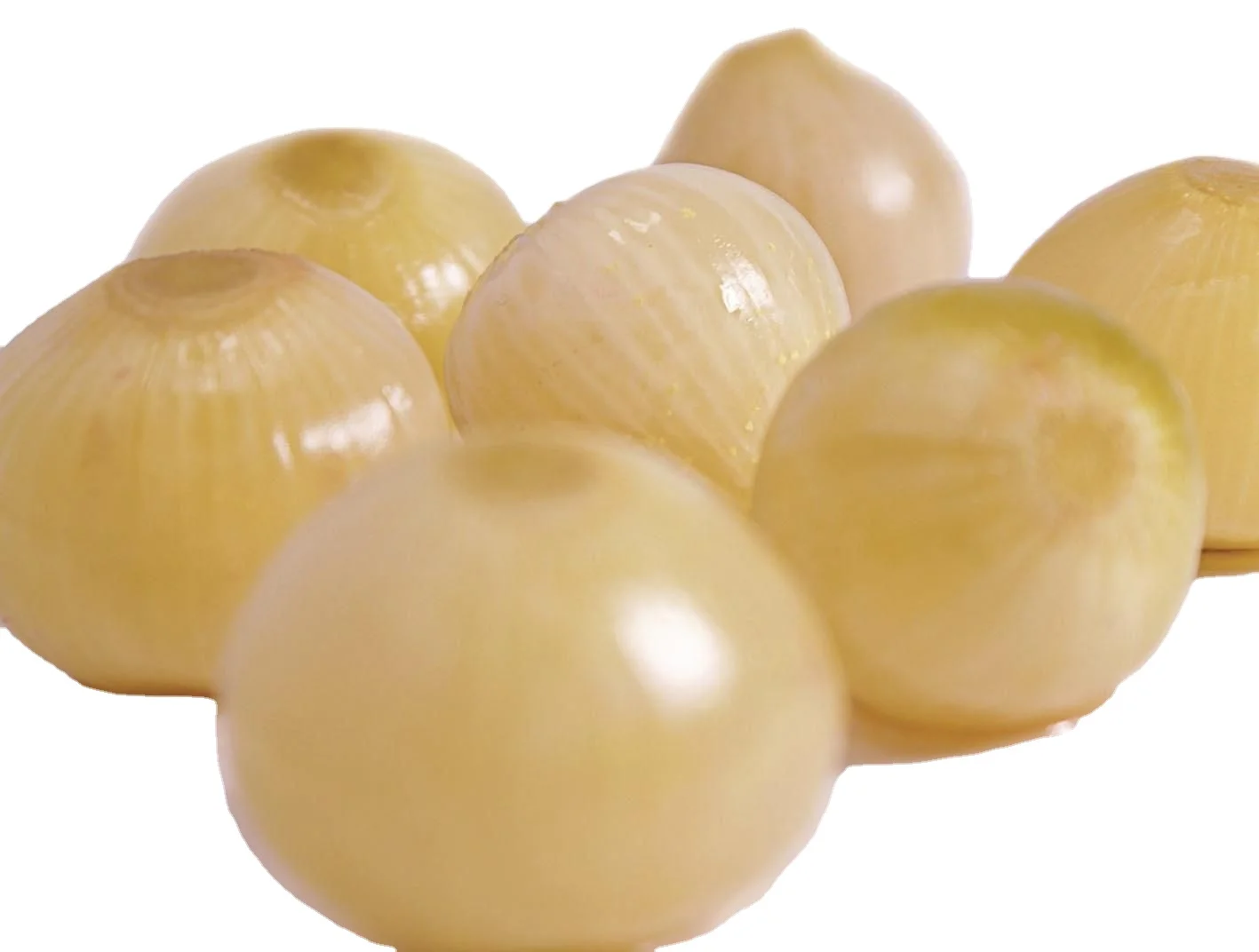 pickled onion preserved in brine contains of (water-vinegar-salt .....) in metallic tins,glass jars and barrels.