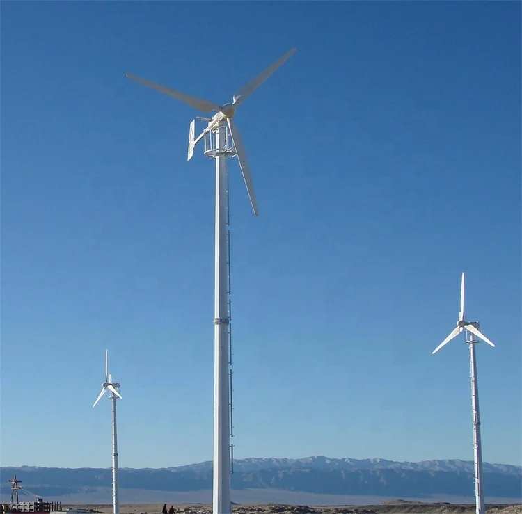 CE MPPT home use full power wind generator 48v 2kw 3KW 1KW wind turbine 24v