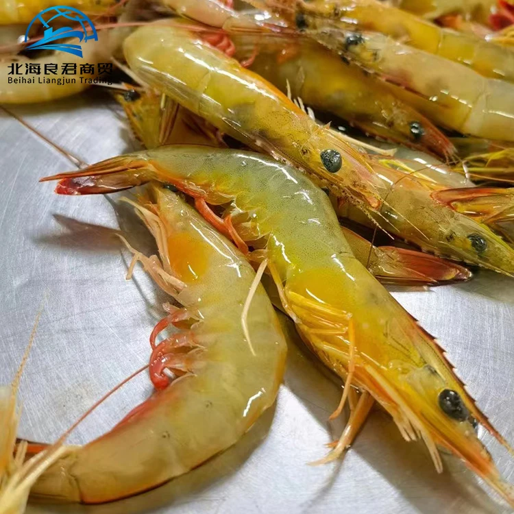 China professional team export frozen prawn farming shrimps seafood fresh vaccum bag packaging vannamei shrimp