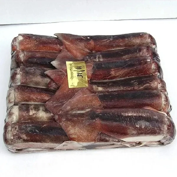 Frozen argentina squid illex squid for export