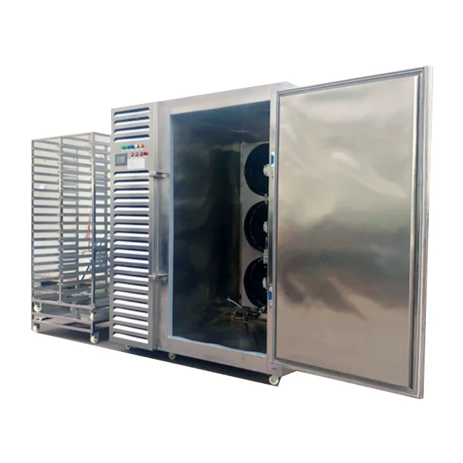 Commercial refrigerators & freezers deep freezer vertical top-freezer refrigerators