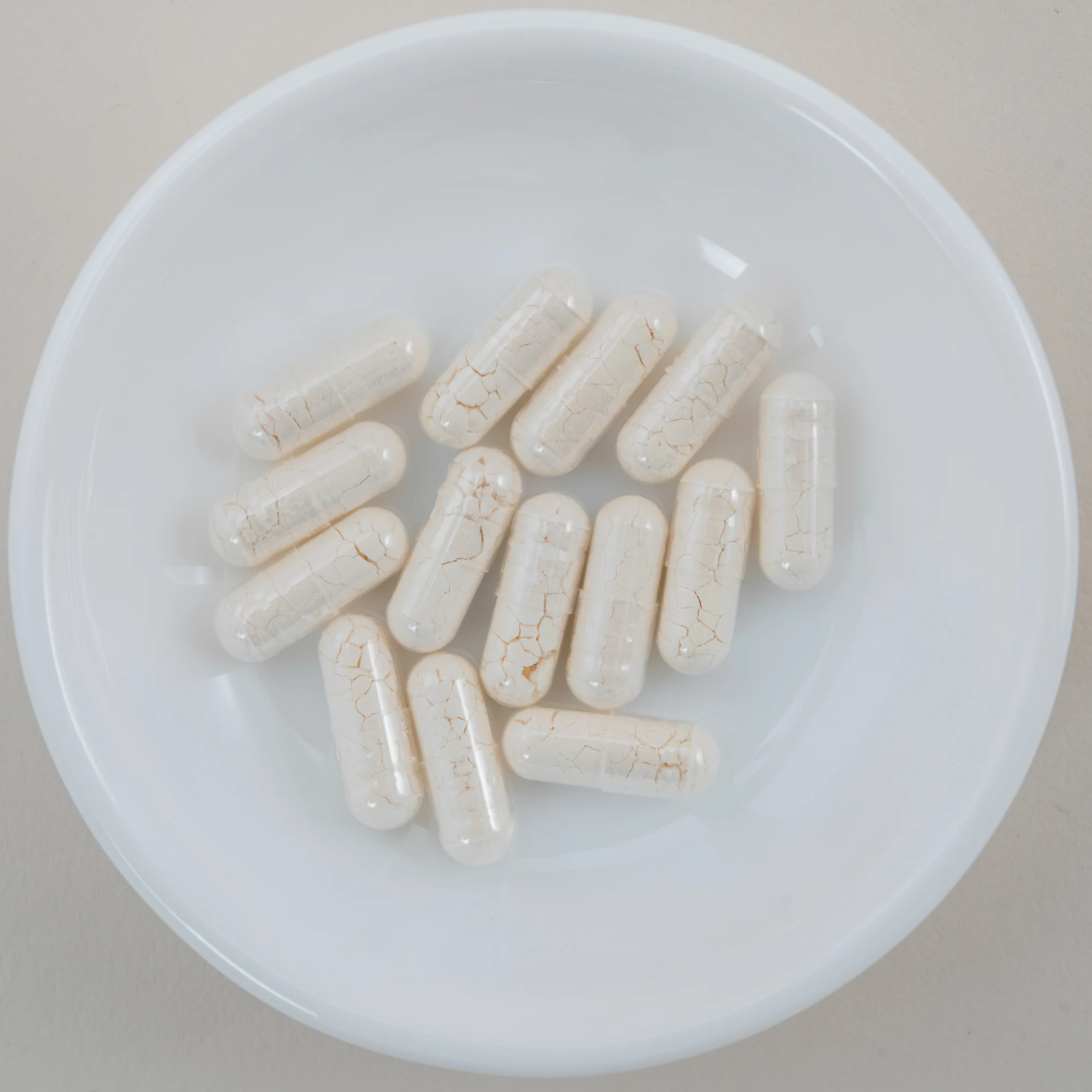 Монгольские комады, живые бактерии, порошок, молочный спирт, продукт, медицинские добавки