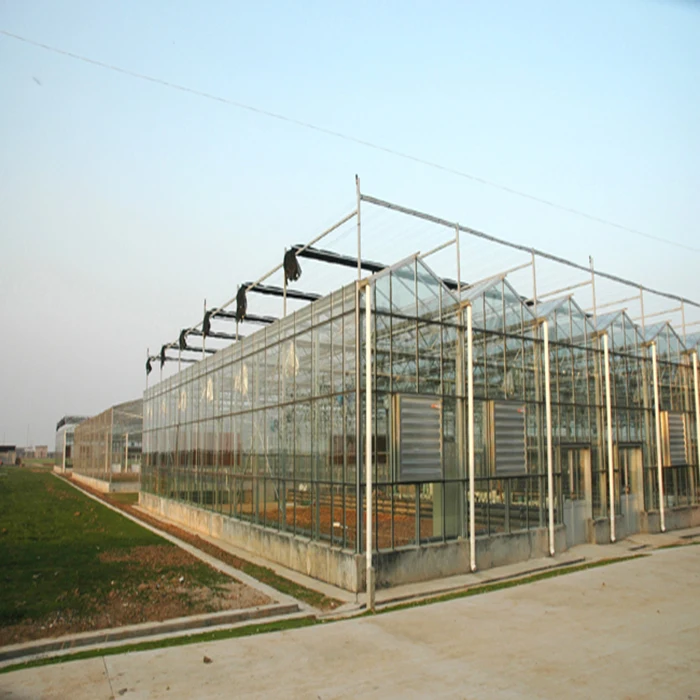 Intelligent Multi-Span Agricultural/Commercial Greenhouse with hydroponics system