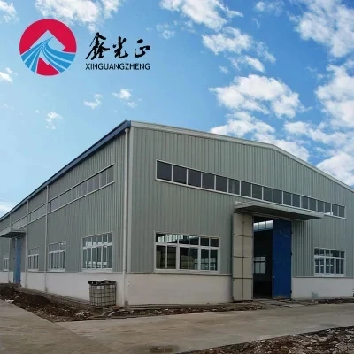 High Quality Free Designed Modern Construction Building Light Metal Shed Prefabricated Steel Structure Prefab Building