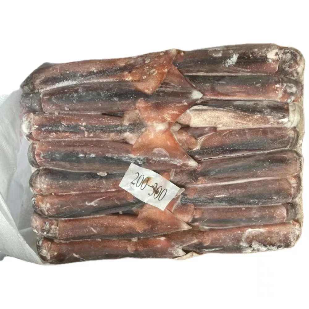 New Arrival 200 - 300g Frozen Argentina Illex Squid Whole Round Squid