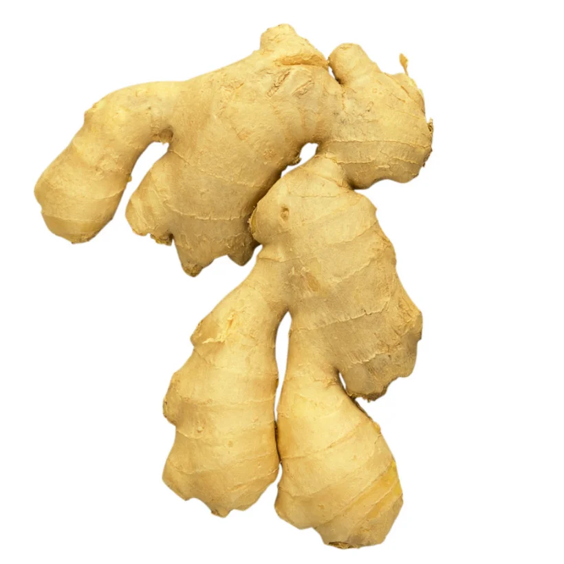 Wholesales New Fresh Ginger 40-600 cm in length Competitive Price Vietnamese Manufacturer Quality Small MOQ Samples Available