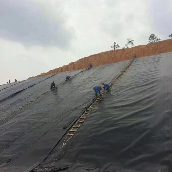 Excellent material smooth anti-aging HDPE geomembrane fish pond oil refinery salt field Construction Plastic Roll Geomembrane