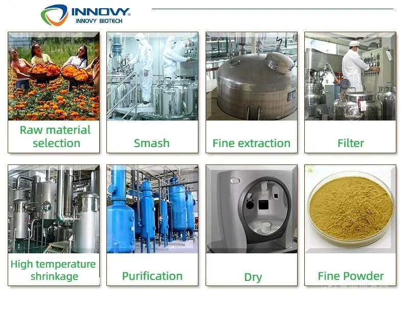 Innovy Factory Direct Supply Organic Cocoa Extract 10:1 Theobromine Powder 99% Cocoa Powder