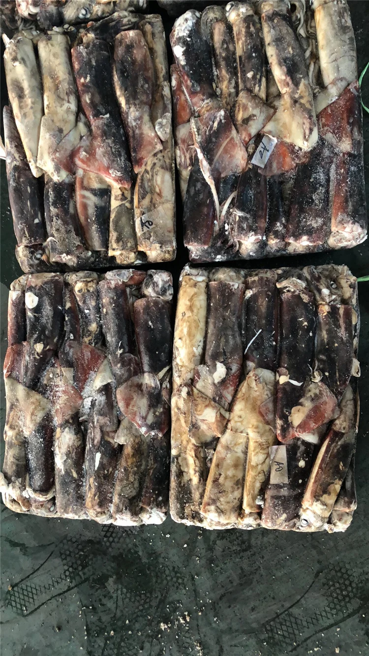 Тушки круглая кальмара Перу кальмар dosidicus gigas