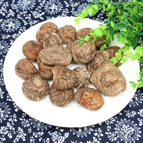 Wholesale Hot Sale Fresh Shitake Dried Shiitake Mushroom Formation