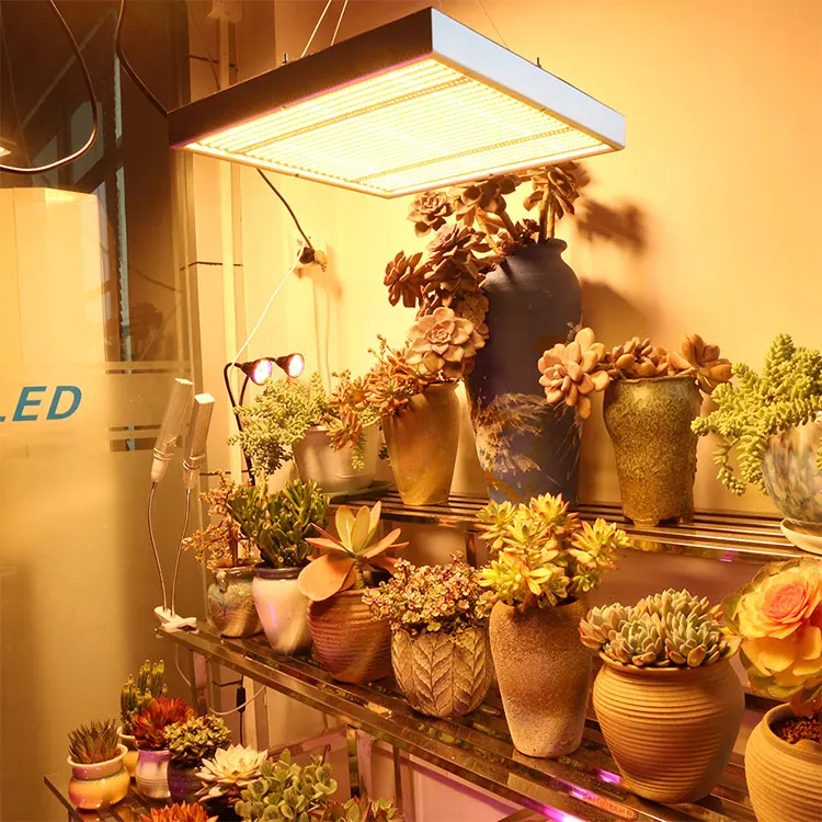 SINJIAlight 150w Sunlike Warm 1560 SMD Chip Led Grow Light for Growing Indoor Plants