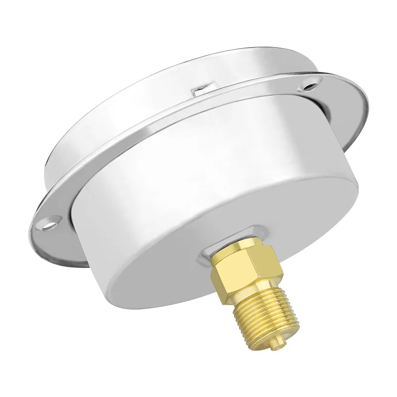 Factory hot seal 600mbar 100mm diaphragm type 304ss stainless steel back with flange capsule pressure gauge